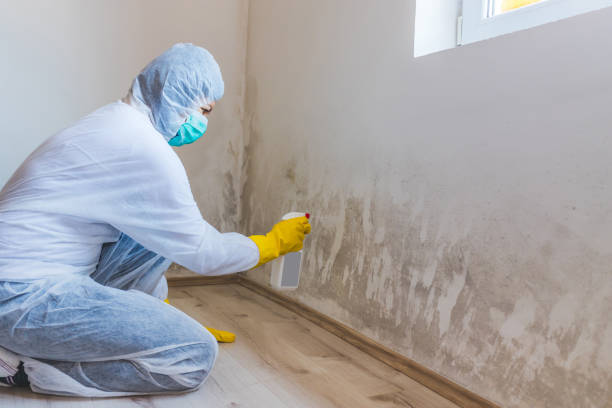 Mold Remediation specialist working in Union